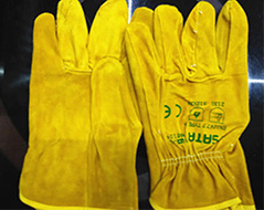 ���_(d��)����